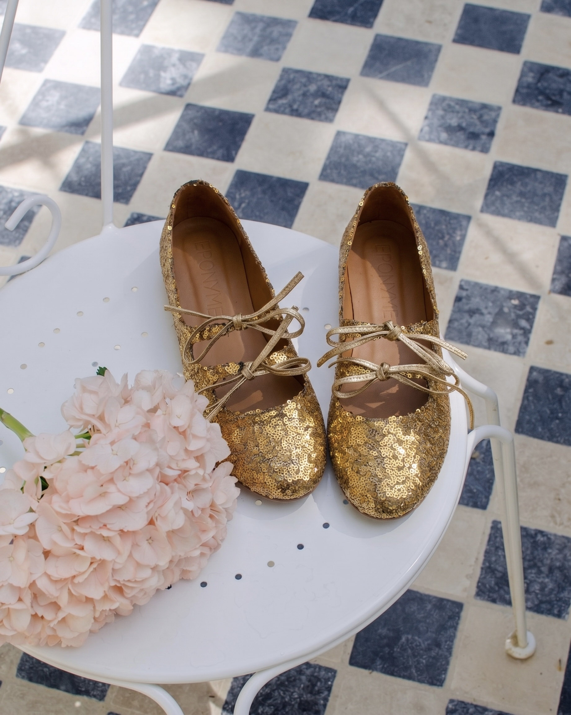 Guide-Entretien-Cuir-Paillettes-Eponyme